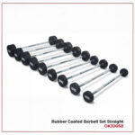 Rubber Coated Barbell Set Straight
