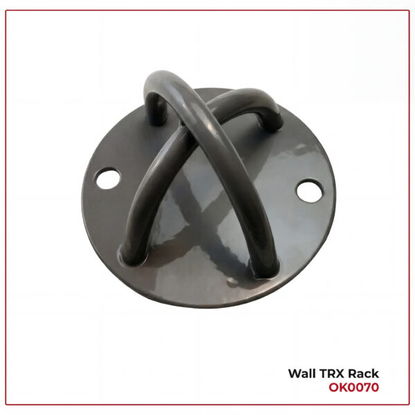 Wall TRX Rack