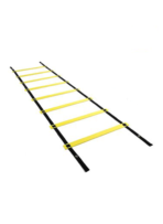 Training Ladder - Image 2