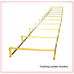 Training ladder hurdles