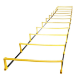 Training ladder hurdles