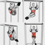 ⁦حزام AB⁩ - الصورة ⁦4⁩