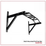 Wall Mounted Pull Up Bar