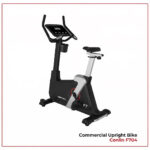 Commercial Upright Bike