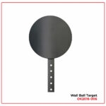 Wall Ball Target